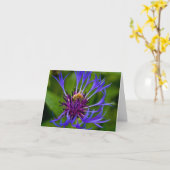 You are sweet as honey greeting カード (黄色い花)