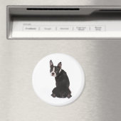 You Boston Terrier Magnetを見ている マグネット (インサイチュ (食洗機))