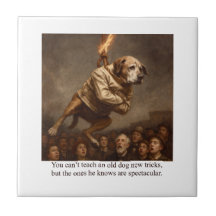 You can’t teach an old dog new tricks
