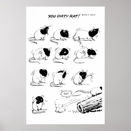 You Dirty Rat! ポスター (正面)