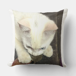 You Got Me!, Funny Anniversary Throw Pillow クッション
