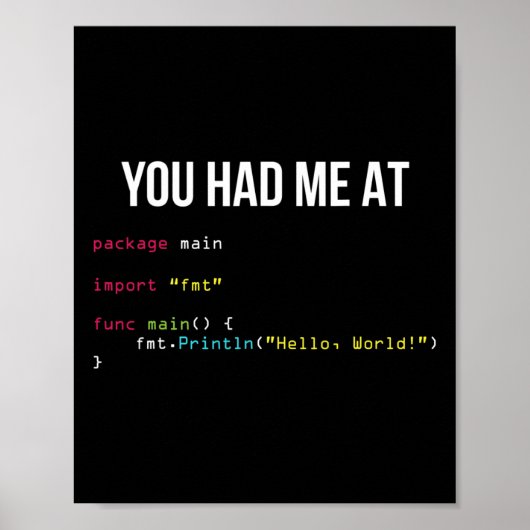 You Had Me At Hello World Coding Cool Gaming Chris ポスター (正面)