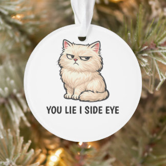 You Lie I Side Eye Fluffy Cream Cat Quote オーナメント