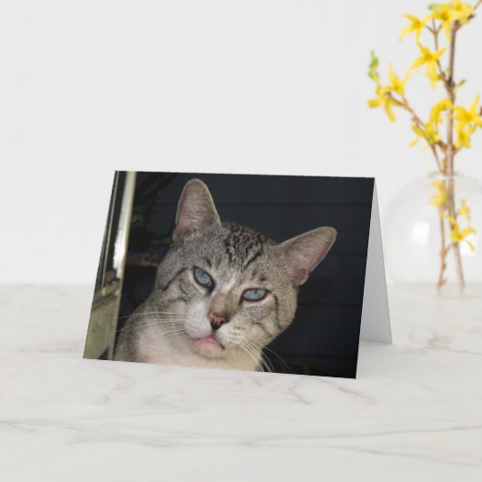 You Make Me Purr Anniversy Card カード (黄色い花)