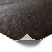 You Mean Otter World To Me Otters Love Kissing ポスター (角)