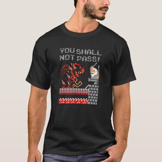 You Shall Not Pass! Funny Novelty Men Women Tシャツ (正面)