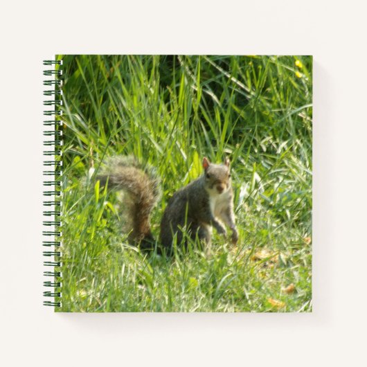 You Squirrel Spiralノートブックを表示 ノートブック (正面)