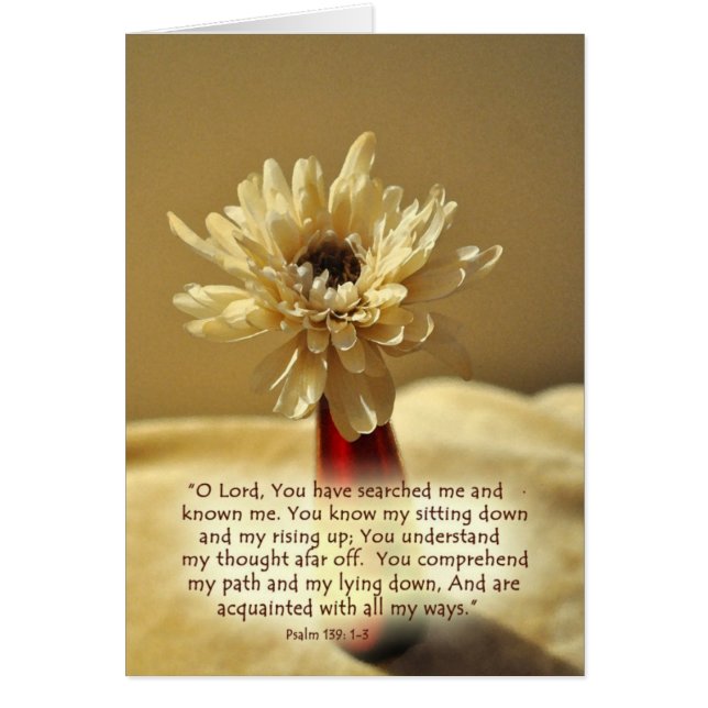 YouhavesearchedmeZazzle (正面)