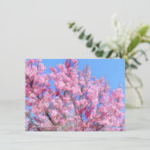 Youkou Cherry: Flat Card (スタンド正面)