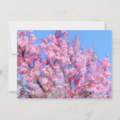 Youkou Cherry: Flat Card (正面)