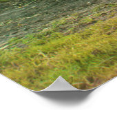 Young ロシアの Women – フォトポスター ポスター (角)