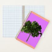 Young Ash Tree ノートブック (内側)