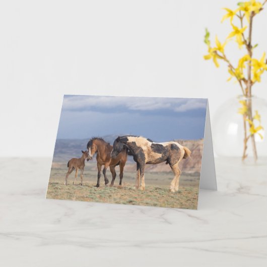 「Young atハート」ノート カード (黄色い花)