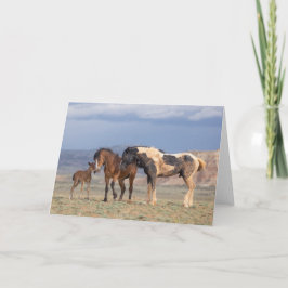 「Young atハート」ノート カード