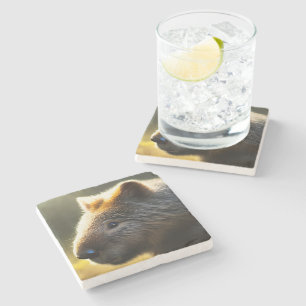 Young Australian Wombat、Stone Coaster ストーンコースター