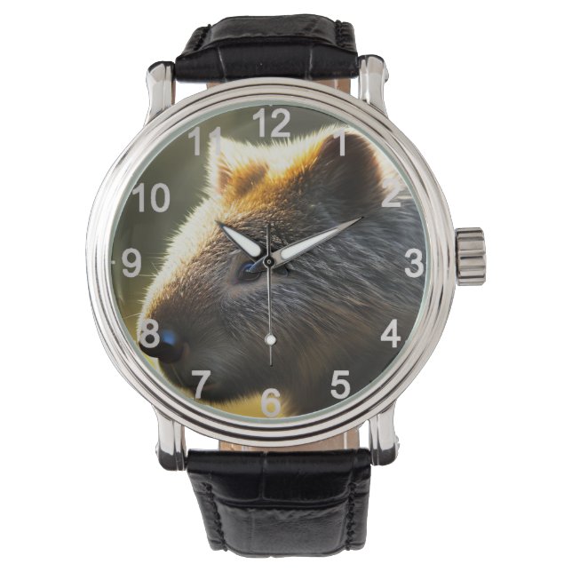 Young Australian Wombat、Wrist Watch 腕時計 (正面)