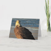 Young Bald Eagle on the Beach Birthday Card カード (正面)