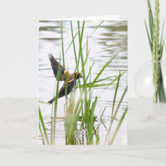 Young Bird in Flight カード