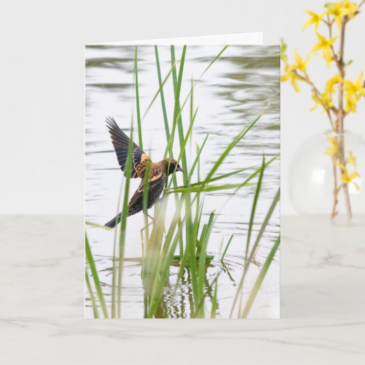 Young Bird in Flight カード (黄色い花)