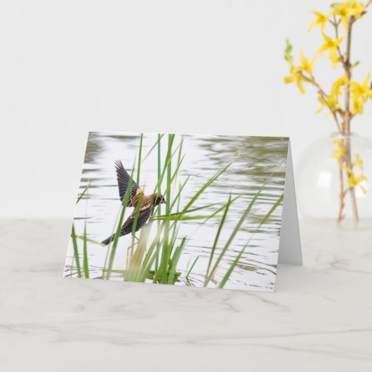 Young Bird in Flight カード (黄色い花)