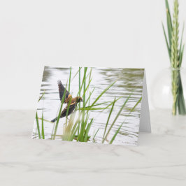 Young Bird in Flight カード