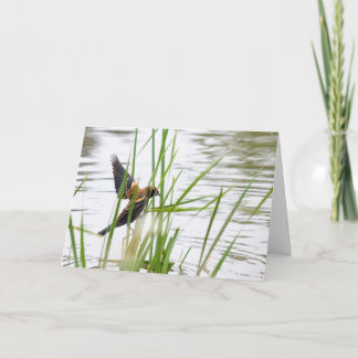 Young Bird in Flight カード