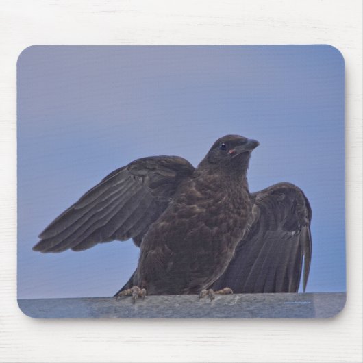 Young Black Raven on Quesnel Bridge w Sky マウスパッド (正面)