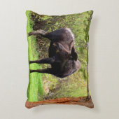 Young Bull Moose アクセントクッション (正面(垂直))