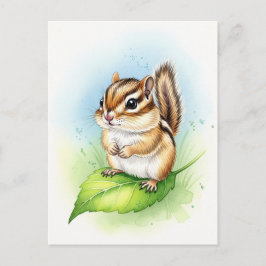Young Chipmunkベビー野生動物はがき ポストカード