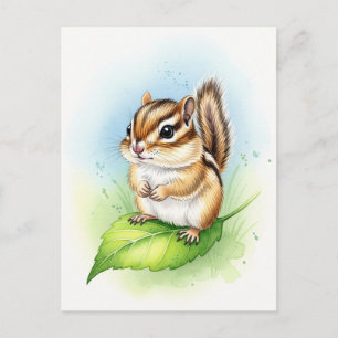 Young Chipmunkベビー野生動物はがき ポストカード