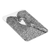 YOUNG EAGLE兄弟姉妹E15およびE16秒自然 マグネット (右側)