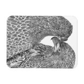 YOUNG EAGLE兄弟姉妹E15およびE16秒自然 マグネット (横)