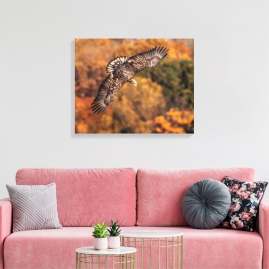 Young Eagle Wings Autumn Canvas Print キャンバスプリント (インサイチュ (リビング))
