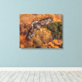 Young Eagle Wings Autumn Canvas Print キャンバスプリント (インサイチュ (ウッドフロア))