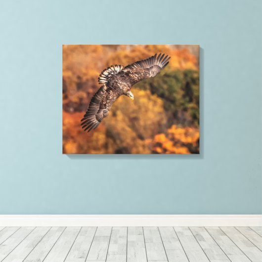 Young Eagle Wings Autumn Canvas Print キャンバスプリント (インサイチュ (ウッドフロア))