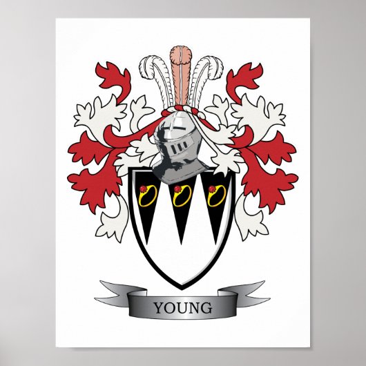Young Family Crest Coat of Arms ポスター (正面)
