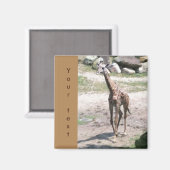 Young Giraffe歩くあなたのテキスト磁石 マグネット (正面/裏面)