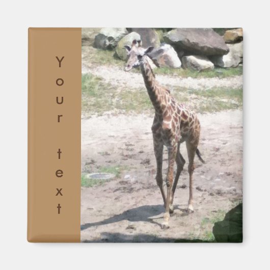 Young Giraffe歩くあなたのテキスト磁石 マグネット (正面)
