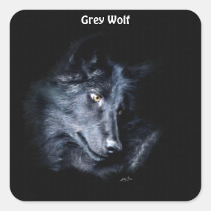 YOUNG GRAY WOLF Wildlife Supporterスタンプ スクエアシール