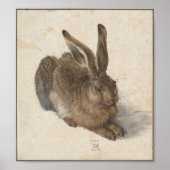 Young Hare by Albrecht Durer ポスター (正面)