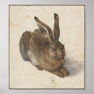 Young Hare by Albrecht Durer ポスター