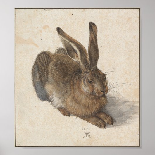 Young Hare by Albrecht Durer ポスター (正面)