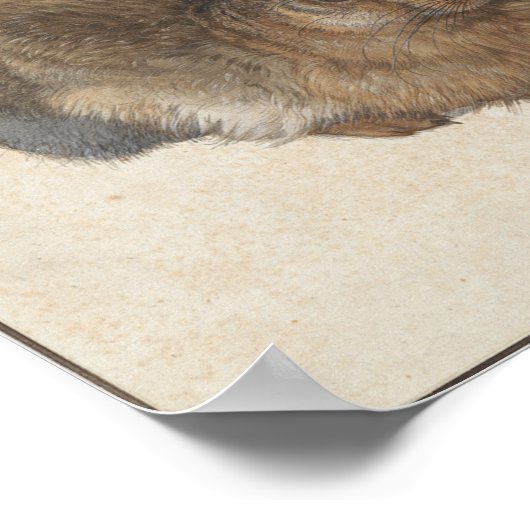 Young Hare by Albrecht Durer ポスター (角)