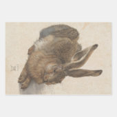 Young Hare by Albrecht Durer, Renaissance Fine Art ラッピングペーパーシート (正面)