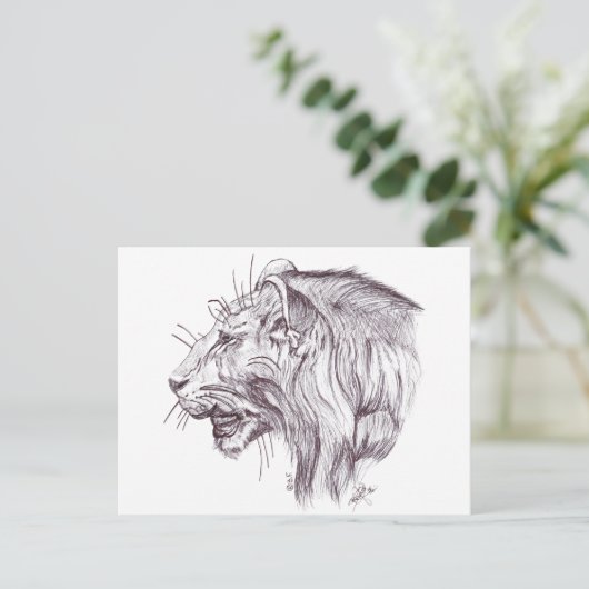 YOUNG LION ポストカード (スタンド正面)