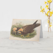Young Marsh Harrier Bird_GC – ノートカ空白のード カード (黄色い花)