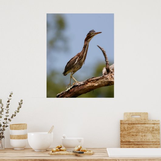 Young One ポスター (キッチン)