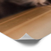 Young Persian Kitten ポスター (角)