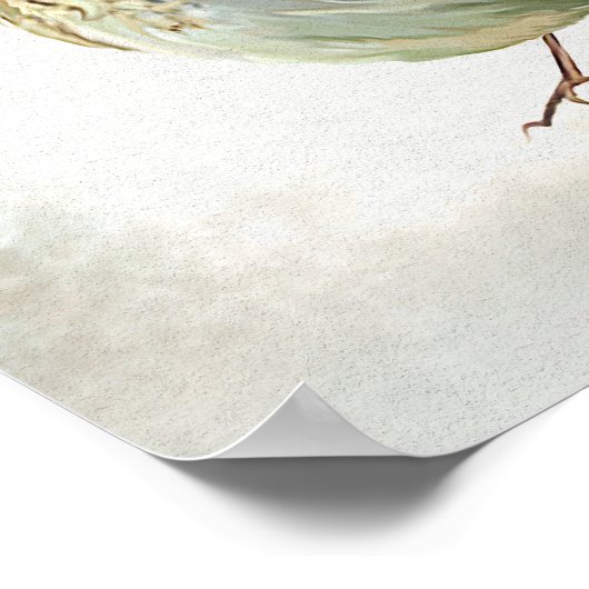 Young Song Thrush in snow ポスター (角)