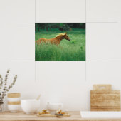 Young Stallion Runs Through Meadow ポスター (キッチン)